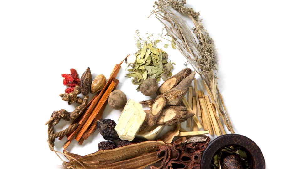 Optimising Your Immunity: The TCM approach » Raffles Chinese Medicine