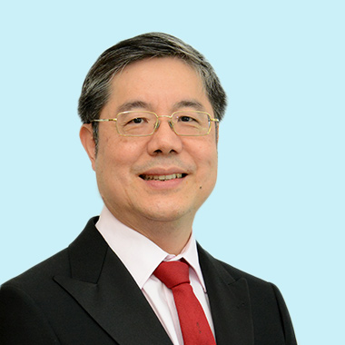 Dr Stephen Lee Teck Soong » ENT Surgeon » Raffles ENT Centre