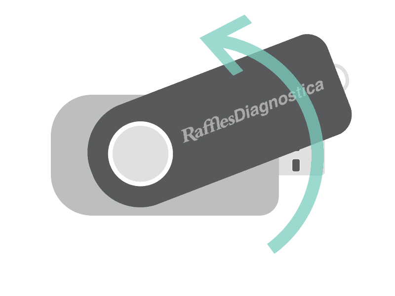 Raffles Diagnostica data flip drive, flip it over