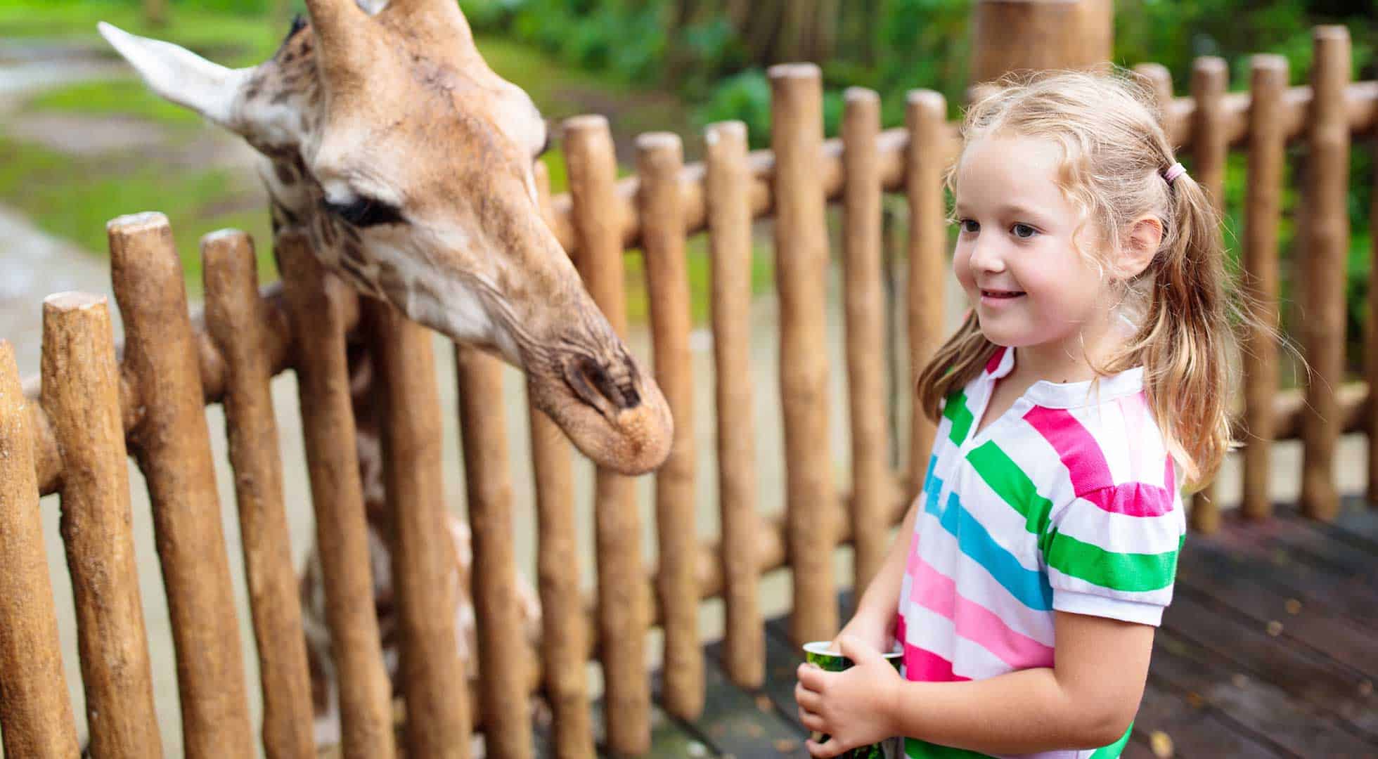 outdoor sensory play at the zoo children